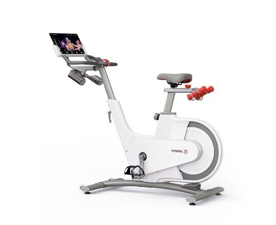 Велотренажер YESOUL Smart Spinning bike V1 белый